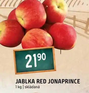 Terno JABLKA RED JONAPRINCE nabídka