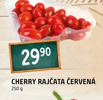 Terno CHERRY RAJČATA ČERVENÁ nabídka