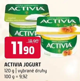 Terno ACTIVIA JOGURT nabídka
