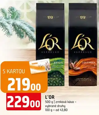 Terno L'OR nabídka