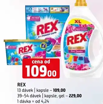 Terno REX nabídka
