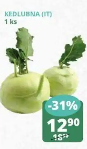Flop KEDLUBNA (IT) nabídka
