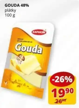 Flop GOUDA 48% nabídka