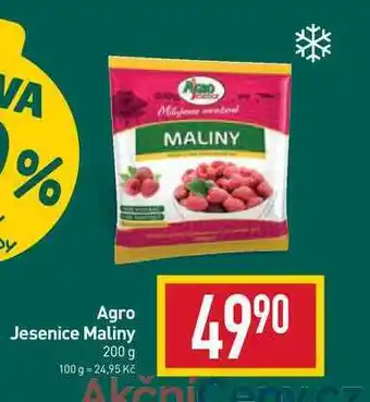 Billa Agro jesenice maliny 200 g nabídka