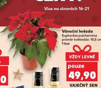 Kaufland Vánoční hvězda nabídka