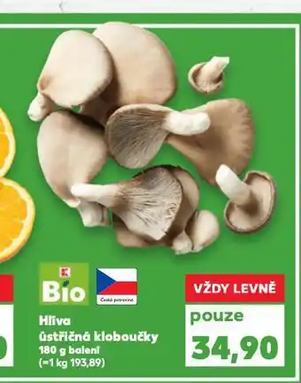 Kaufland Hlíva ústřičná nabídka