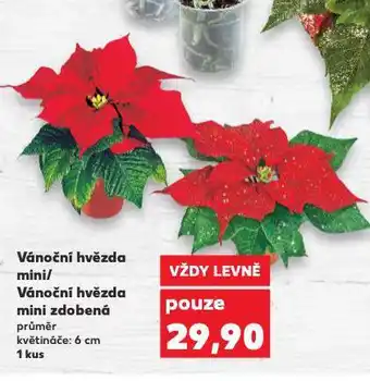 Kaufland Vánoční hvězda nabídka