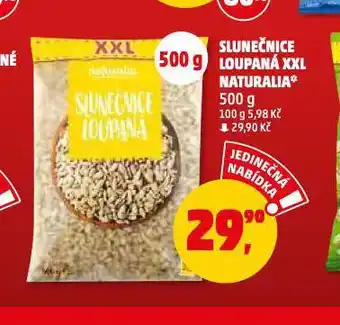 Penny Market Slunečnice nabídka