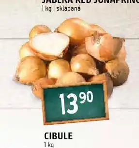 Terno Cibule nabídka