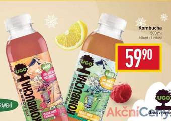 Billa Kombucha 500 ml nabídka
