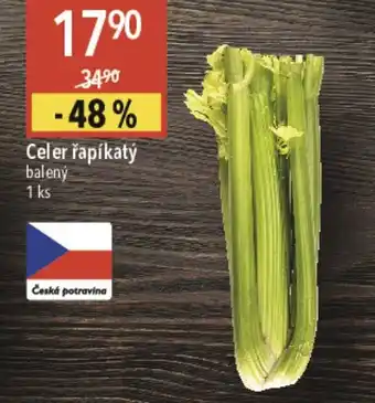 Globus Celer řapíkatý nabídka
