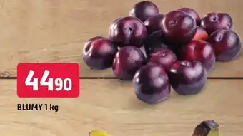 Trefa BLUMY 1 kg nabídka