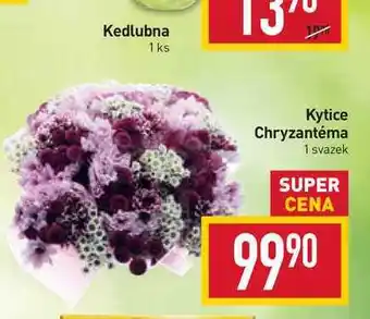 Billa Kytice chryzantéma 1 svazek nabídka