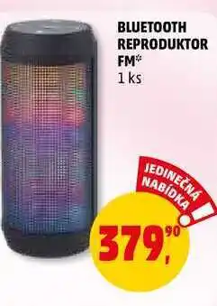 Penny Market Bluetooth reproduktor fm, 1 ks nabídka
