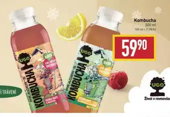 Billa Kombucha nabídka