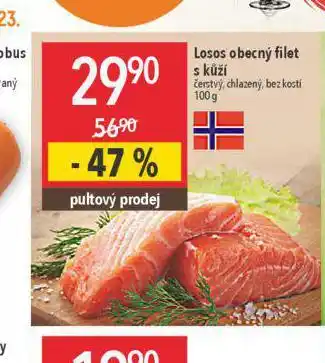 Globus Losos obecný nabídka