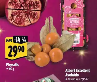 Physalis