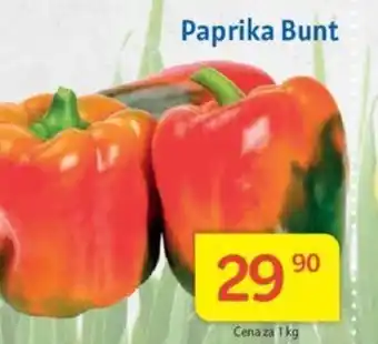 Kubík potraviny Paprika Bunt nabídka