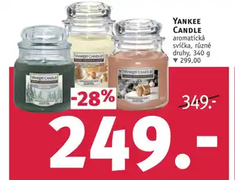 Rossmann YANKEE CANDLE nabídka