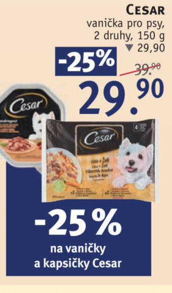 Rossmann CESAR vanička pro psy nabídka