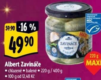 Albert Albert Zavináče nabídka