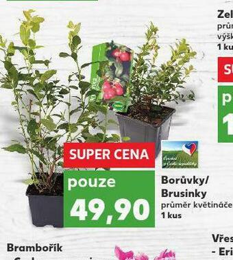 Kaufland Brusinky nabídka