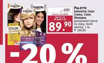 Rossmann Palette intensive color creme, color shampoo nabídka