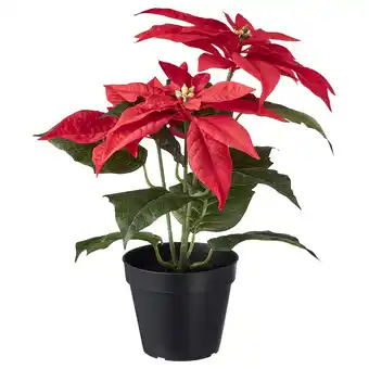 Vinterfint umělá květina v květ., vn./venkovní poinsettie/červená, 12 cm