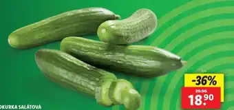 Lidl Okurka salátová nabídka