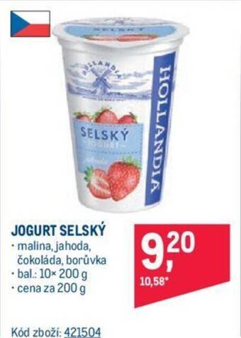 Makro JOGURT SELSKÝ nabídka