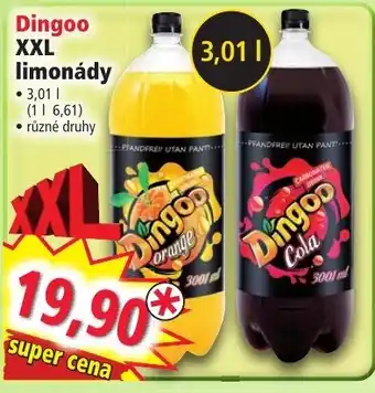 Norma Dingoo XXL limonády nabídka