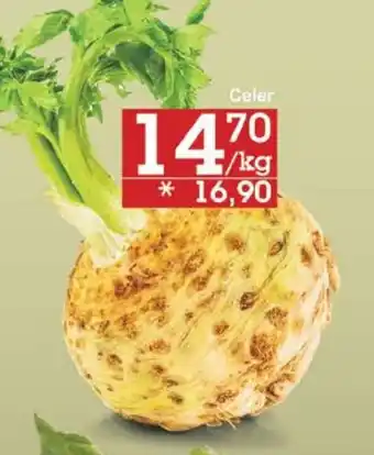 Jip Celer nabídka
