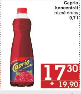 Jip Caprio koncentrát 0,7 l. nabídka