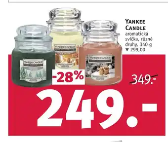 Rossmann YANKEE CANDLE nabídka