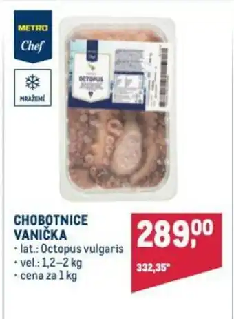 Makro CHOBOTNICE VANIČKA nabídka