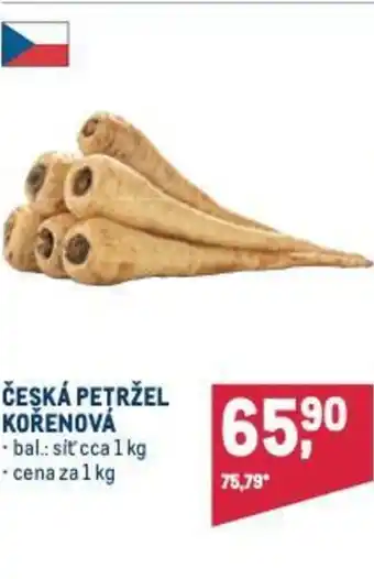 Makro ČESKÁ PETRŽEL KOŘENOVÁ nabídka