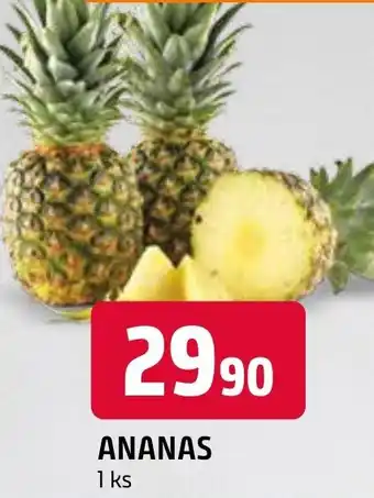 Terno ANANAS nabídka
