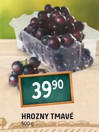 Terno HROZNY TMAVÉ nabídka