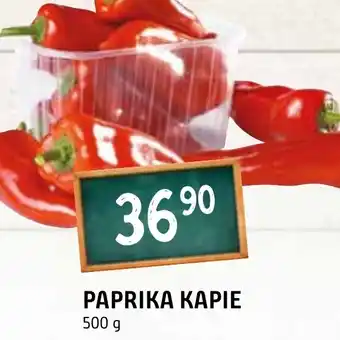 Terno PAPRIKA KAPIE nabídka