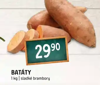 Terno BATÁTY nabídka