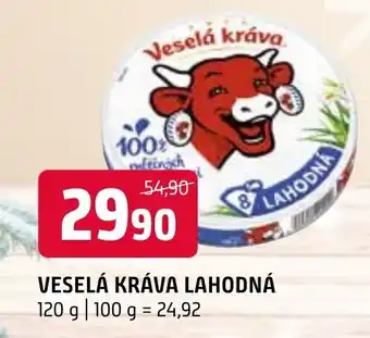 Terno VESELÁ KRÁVA LAHODNÁ nabídka