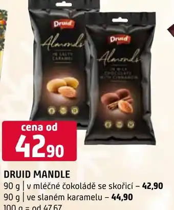 Terno DRUID MANDLE nabídka