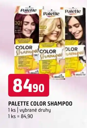 Terno PALETTE COLOR SHAMPOO nabídka
