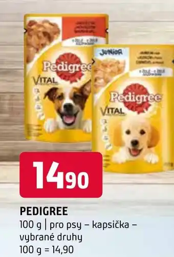 Terno PEDIGREE nabídka