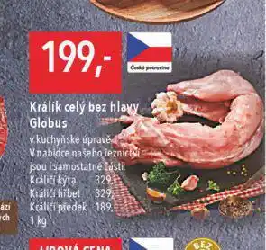 Globus Králík celý bez hlavy nabídka