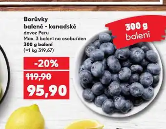 Kaufland Borůvky nabídka