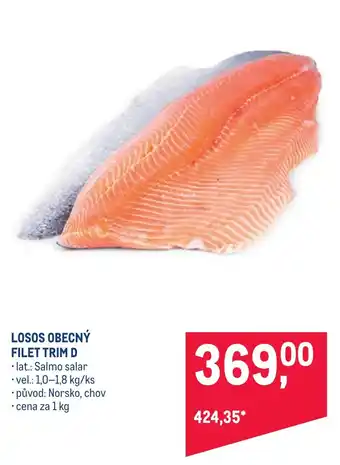 Makro LOSOS OBECNÝ FILET TRIM D nabídka