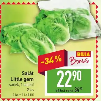 Billa Salát Little gem nabídka