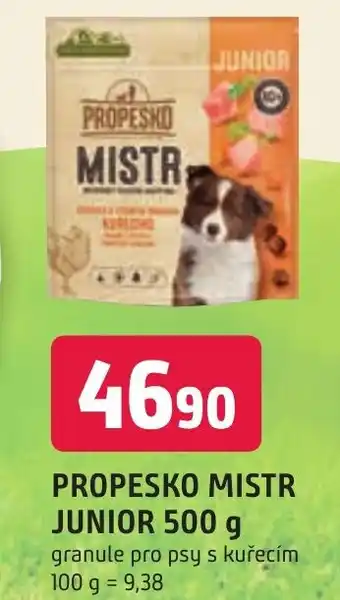Trefa PROPESKO MISTR JUNIOR 500 g nabídka