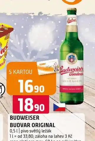 Terno Pivo budweiser budvar original nabídka